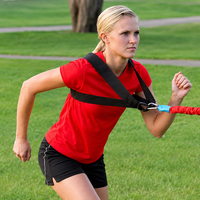 Thumbnail for Speedster Basic X-Harness (Harness Only)